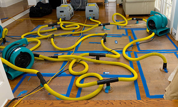 Professional Water Damage Restoration technician working in Cascade, IA